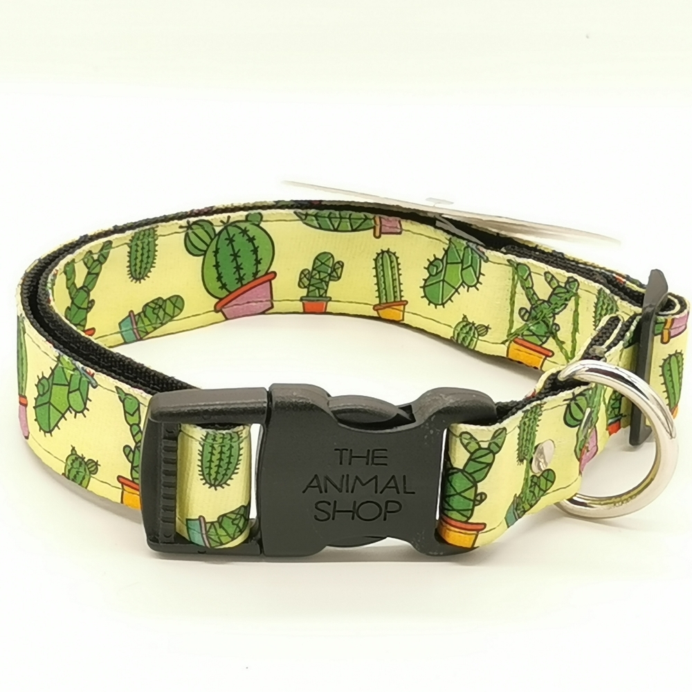 Arizona Desert Dog Collar